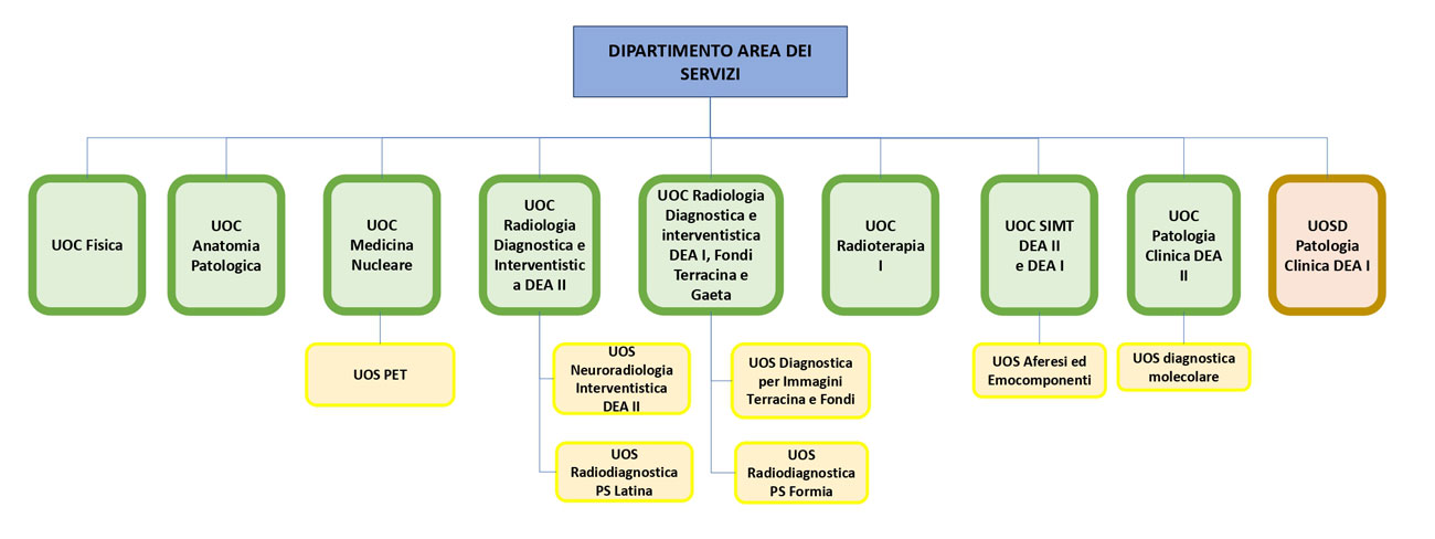 Dipartimento Area dei Servizi